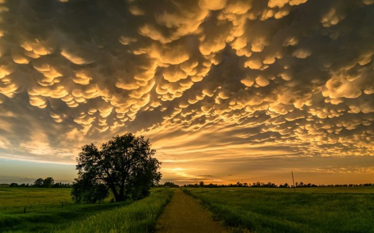 Mammatus Clouds: Everything You Need to Know