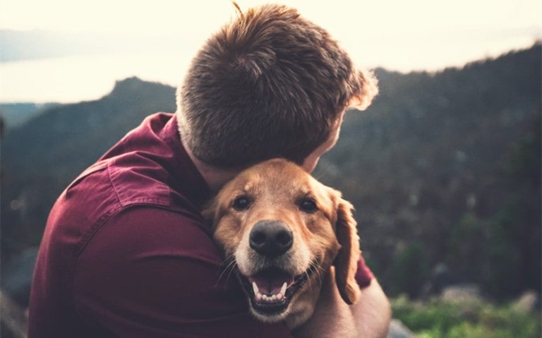 57 Memorial Sayings for Loss of a Pet to Honor Them